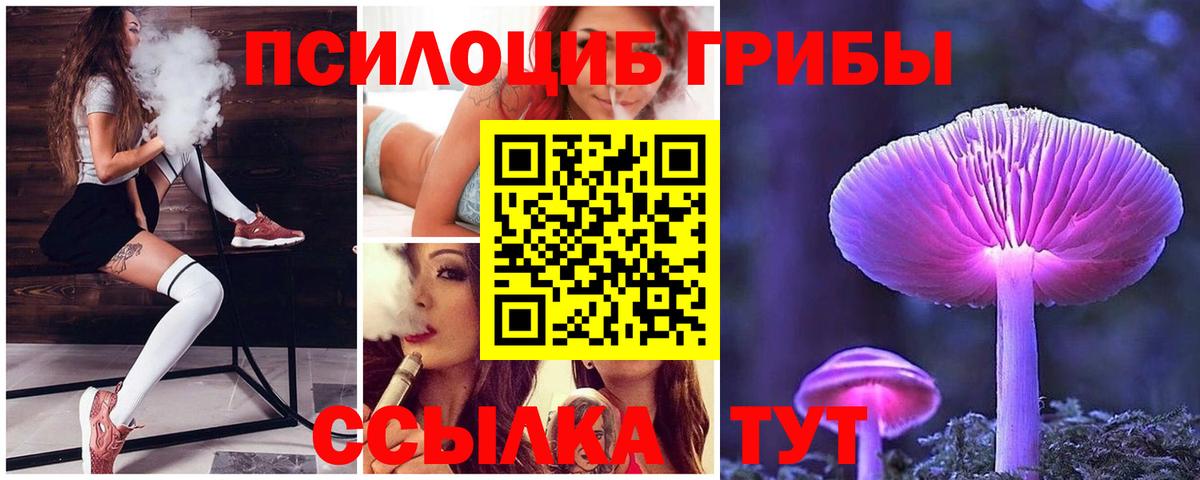 Советский  Псилоцибиновые грибы Cubensis  Вход с VPN  Псилоцибиновые грибы Cubensis 